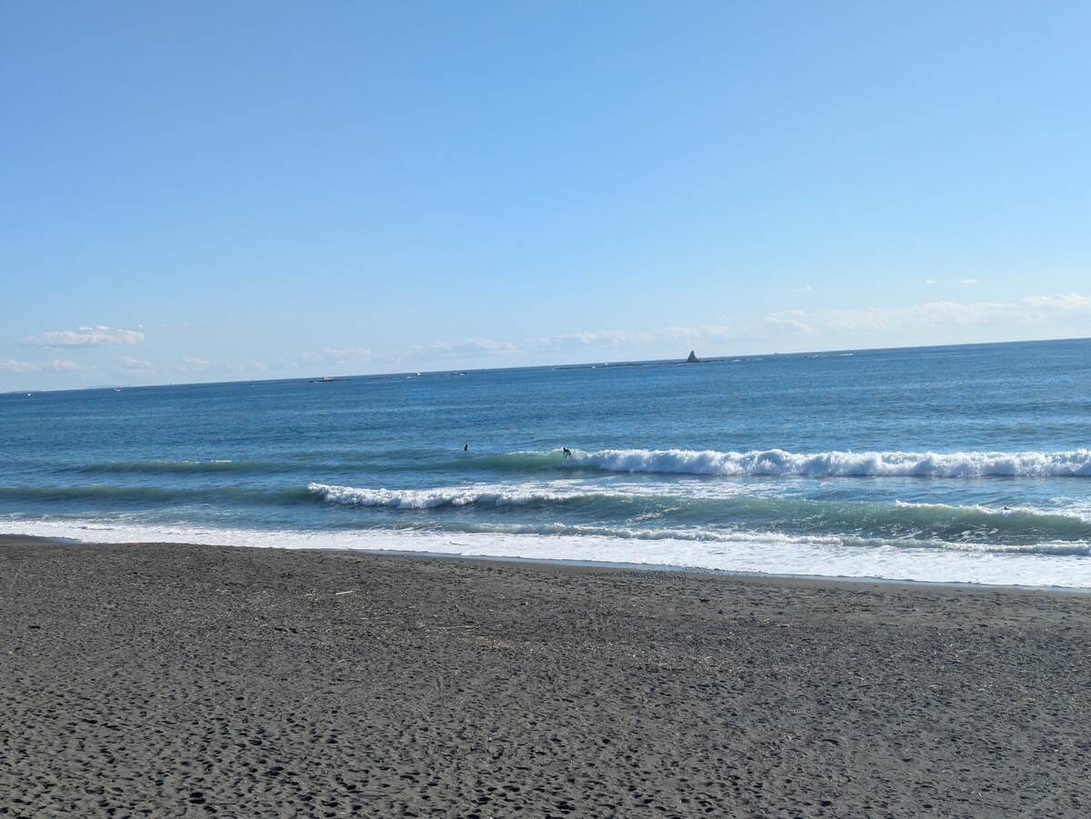 2024年12月1日午後13:36の茅ヶ崎白樺