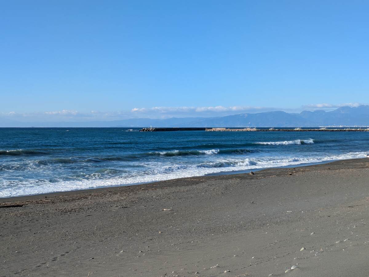 2025年1月30日午前8:33の茅ヶ崎白樺