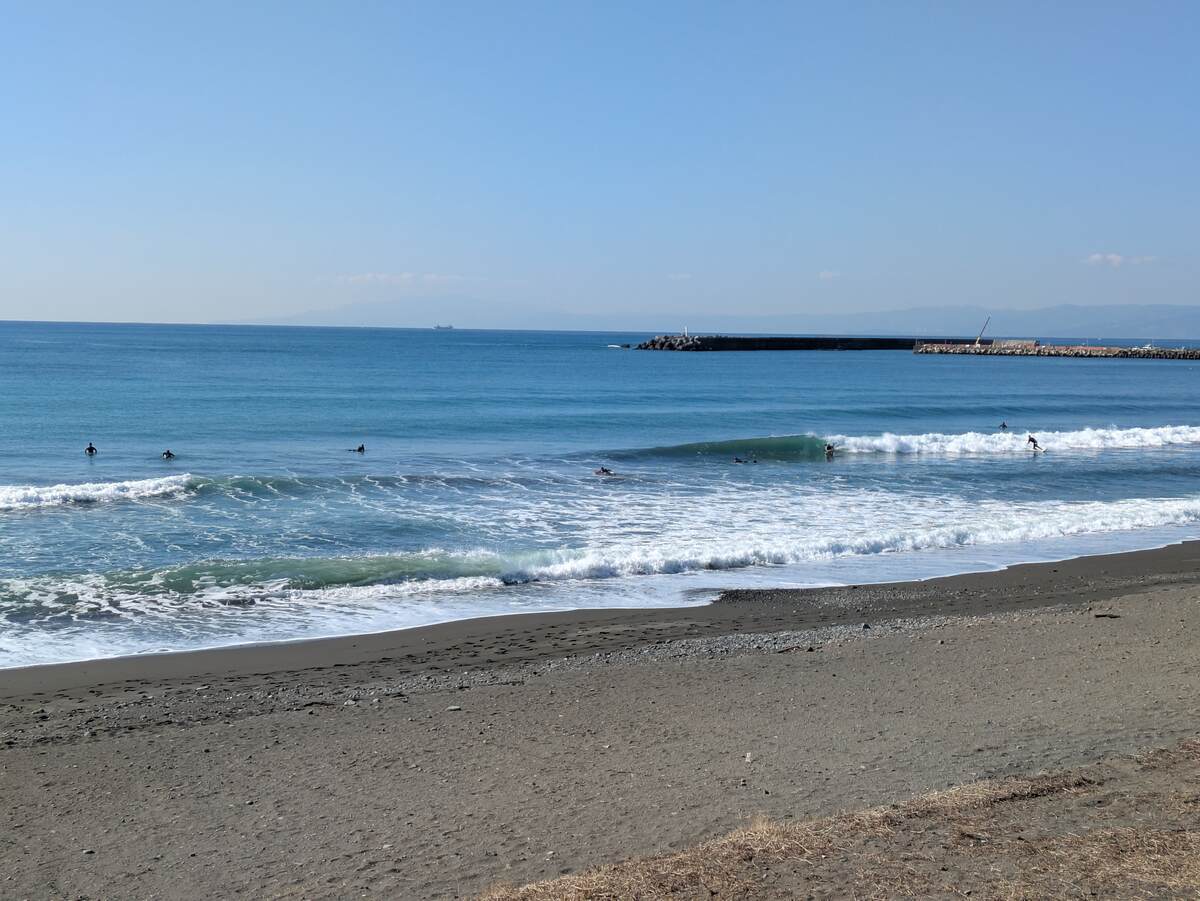 2025年2月27日午前9:43の茅ヶ崎白樺
