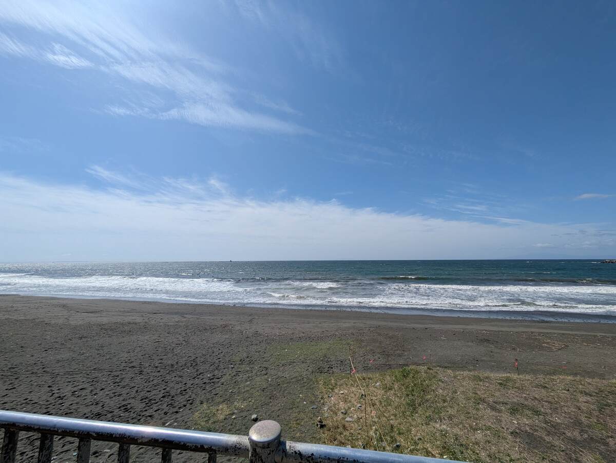 2025年4月14日午前9:22の茅ヶ崎白樺