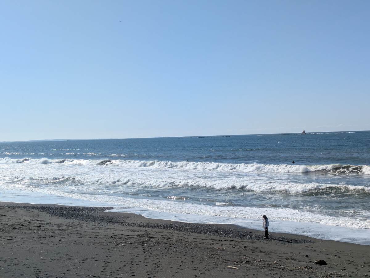 2025年4月16日午前8:00の茅ヶ崎白樺