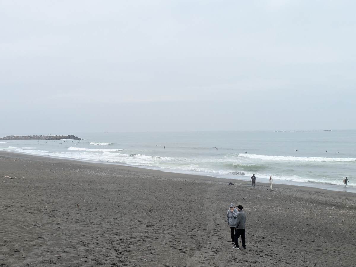2025年4月24日午前8:02の茅ヶ崎白樺