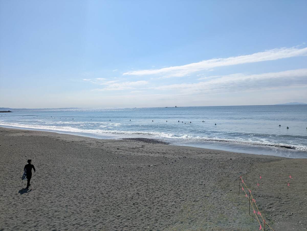 2026年3月15日午前9:46の茅ヶ崎白樺