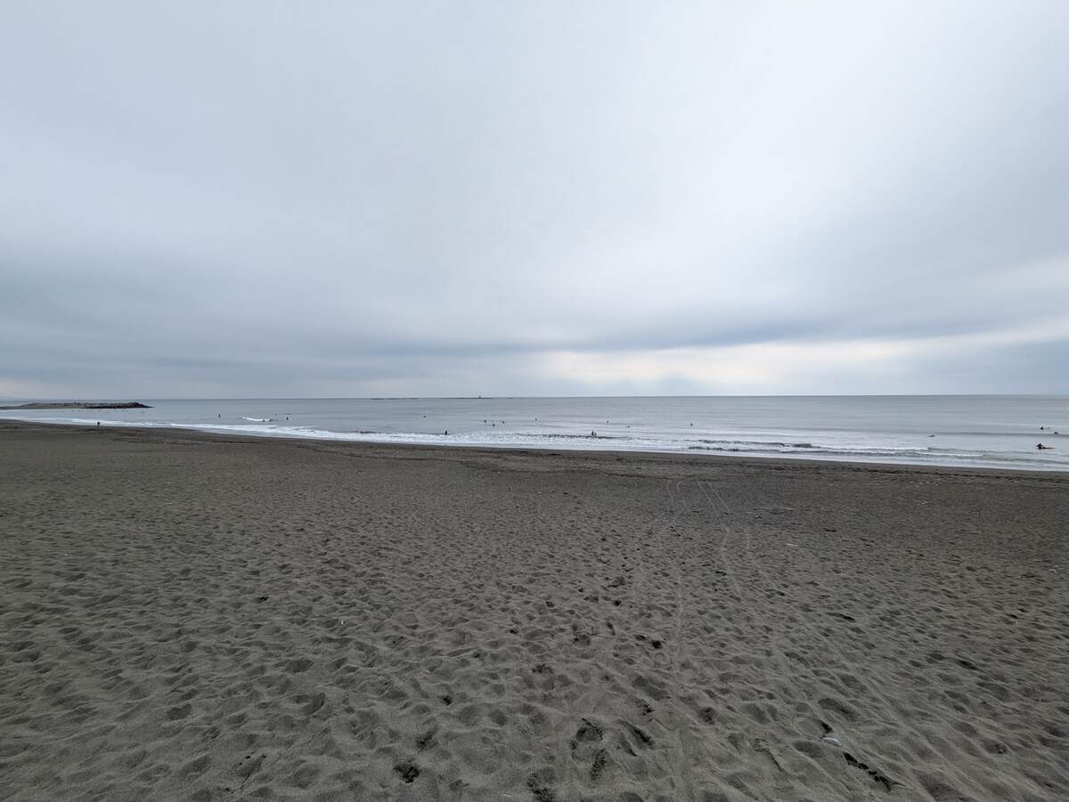 2026年3月20日午前10:51の茅ヶ崎白樺