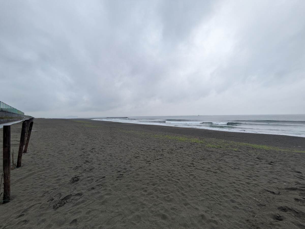 2026年3月26日午前9:31の茅ヶ崎白樺