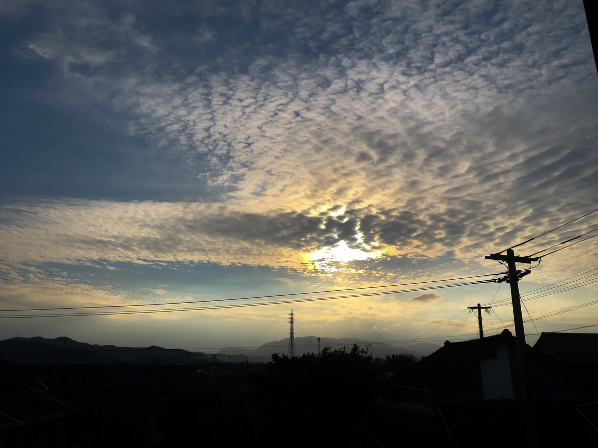 f:id:OP2022:20220204214453j:plain