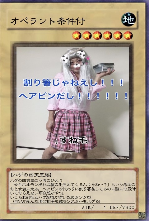 f:id:OPERANTkenrauhel:20181116164343j:plain