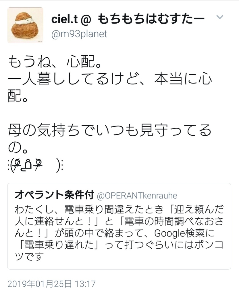 f:id:OPERANTkenrauhel:20190211140341j:plain