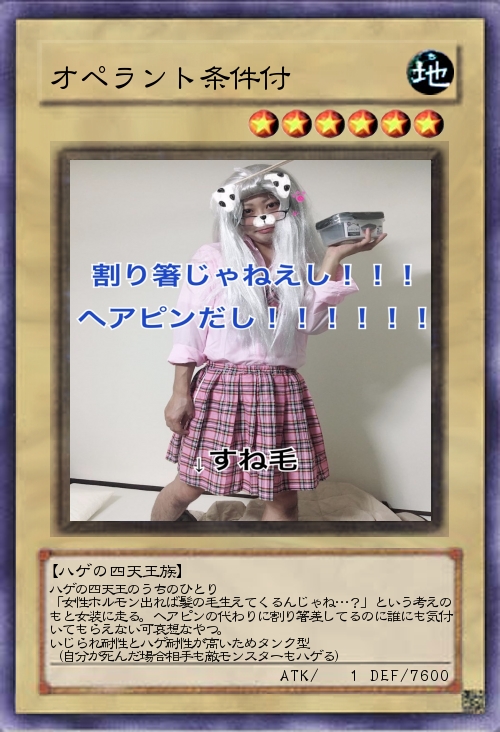 f:id:OPERANTkenrauhel:20190511182422j:plain