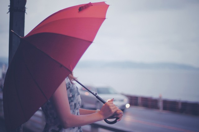 f:id:ORANGEmikan:20210528063755j:image