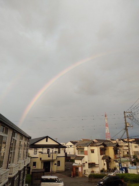 f:id:ORANGEmikan:20210528064939j:image