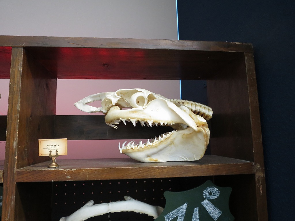 f:id:ORCINUS:20190530160120j:plain f:id:ORCINUS:20190530160120j:plain