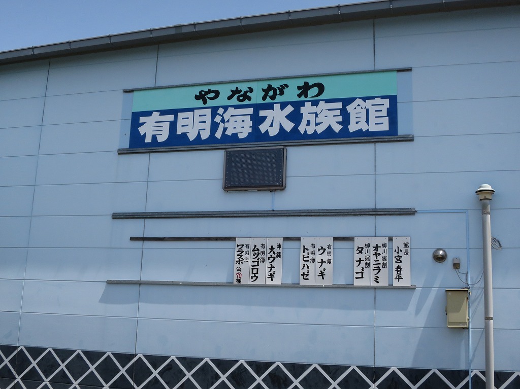 f:id:ORCINUS:20190531172521j:plain f:id:ORCINUS:20190531172521j:plain