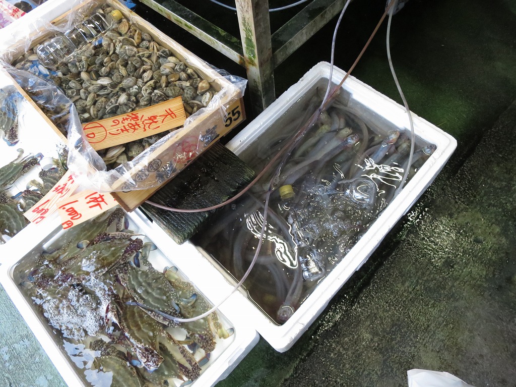 f:id:ORCINUS:20190531215739j:plain f:id:ORCINUS:20190531215739j:plain