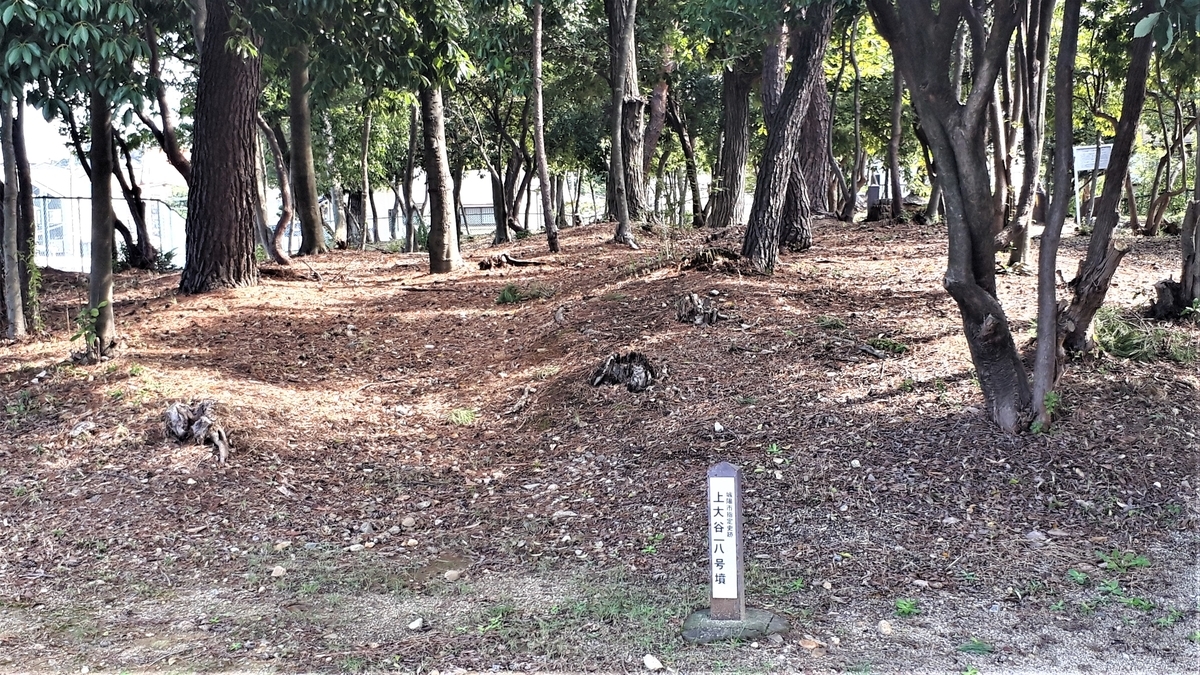f:id:OSAKA-TOM:20191024135713j:plain f:id:OSAKA-TOM:20191024135713j:plain