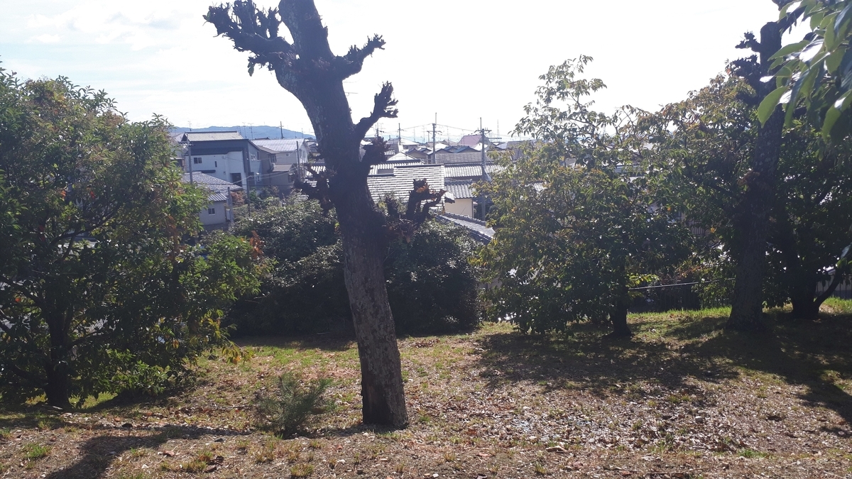 f:id:OSAKA-TOM:20191024140217j:plain f:id:OSAKA-TOM:20191024140217j:plain