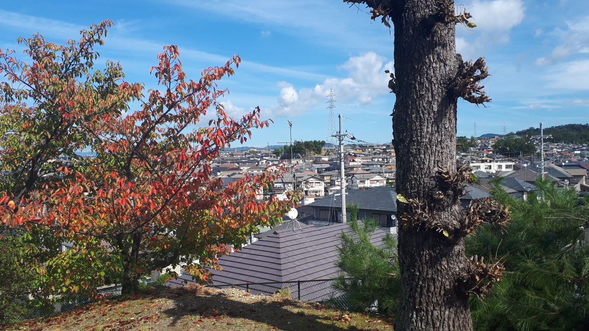 f:id:OSAKA-TOM:20191024140318j:plain f:id:OSAKA-TOM:20191024140318j:plain