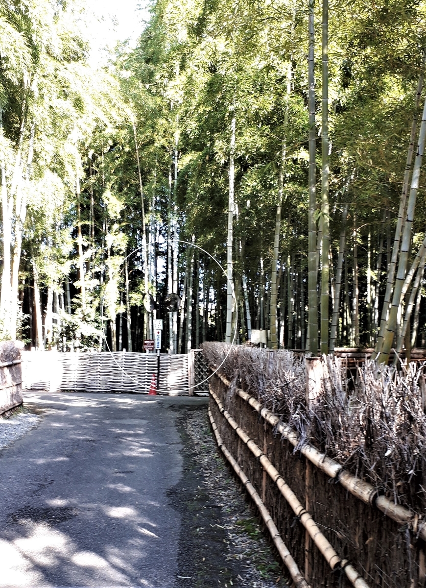 f:id:OSAKA-TOM:20191029152055j:plain f:id:OSAKA-TOM:20191029152055j:plain