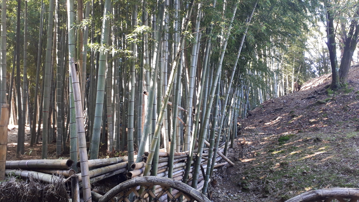f:id:OSAKA-TOM:20191029152209j:plain f:id:OSAKA-TOM:20191029152209j:plain