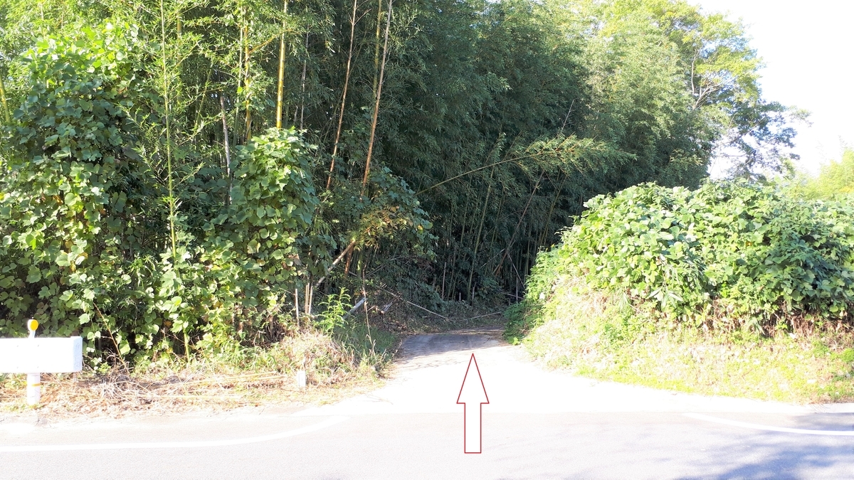 f:id:OSAKA-TOM:20191111085258j:plain f:id:OSAKA-TOM:20191111085258j:plain
