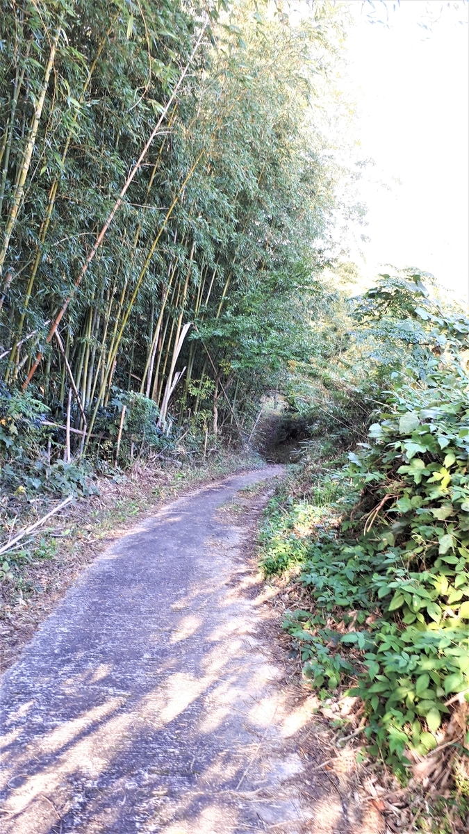 f:id:OSAKA-TOM:20191111085330j:plain f:id:OSAKA-TOM:20191111085330j:plain