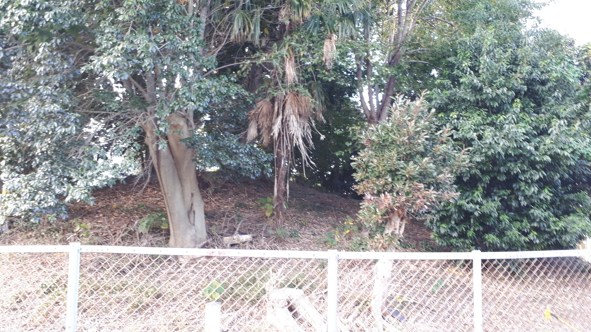 f:id:OSAKA-TOM:20191115120329j:plain f:id:OSAKA-TOM:20191115120329j:plain
