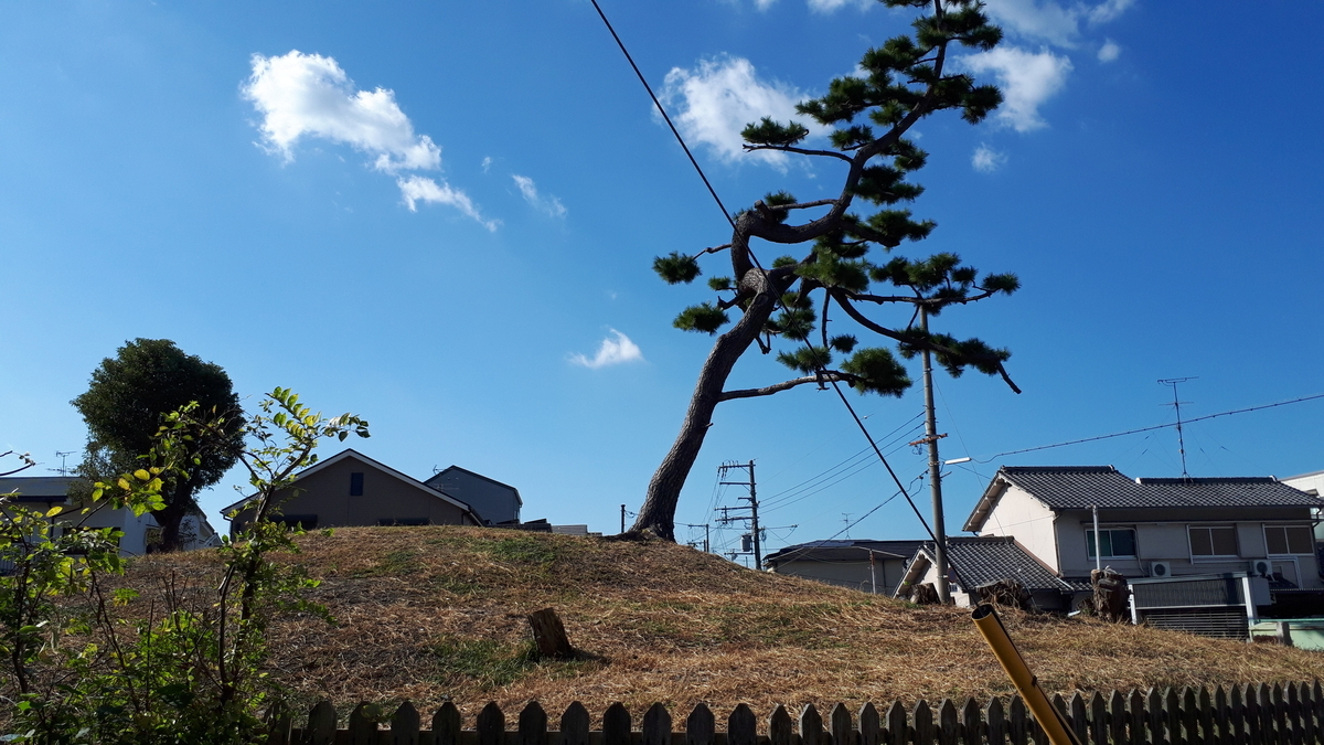 f:id:OSAKA-TOM:20191115121450j:plain f:id:OSAKA-TOM:20191115121450j:plain