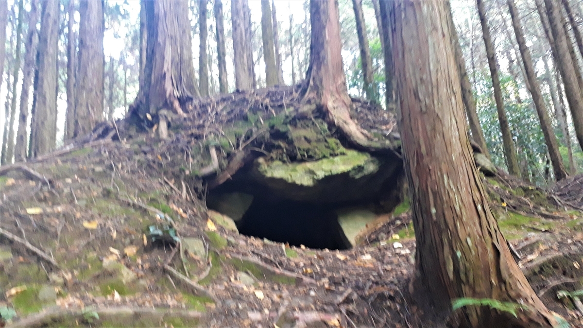 f:id:OSAKA-TOM:20191208091443j:plain f:id:OSAKA-TOM:20191208091443j:plain