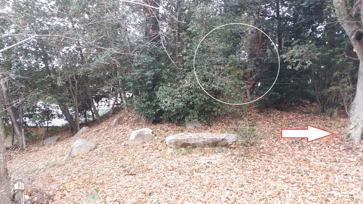 f:id:OSAKA-TOM:20191221184645j:plain f:id:OSAKA-TOM:20191221184645j:plain