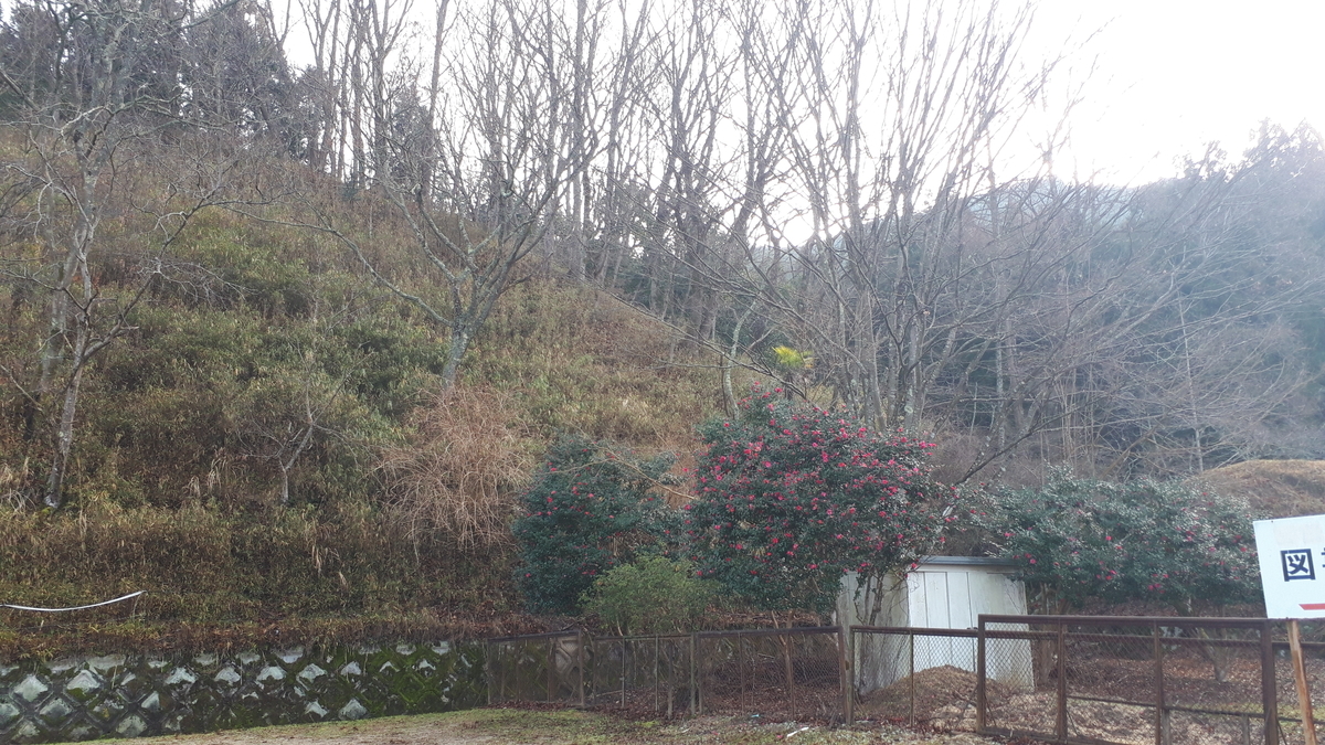 f:id:OSAKA-TOM:20200123093751j:plain f:id:OSAKA-TOM:20200123093751j:plain