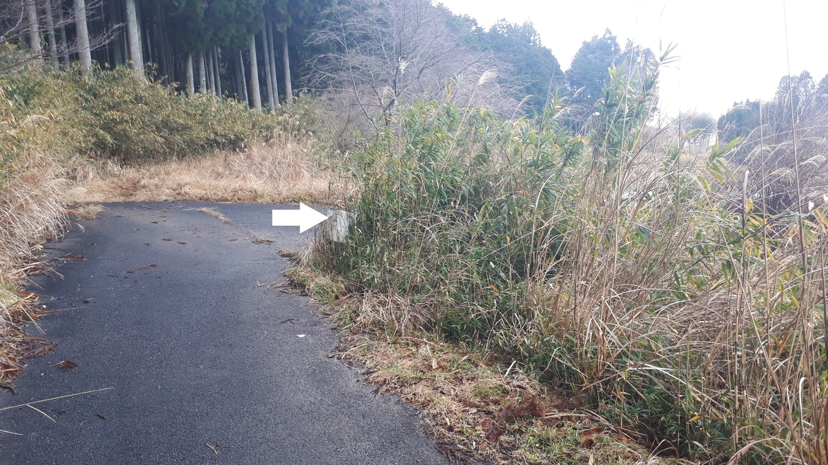 f:id:OSAKA-TOM:20200123104729j:plain f:id:OSAKA-TOM:20200123104729j:plain