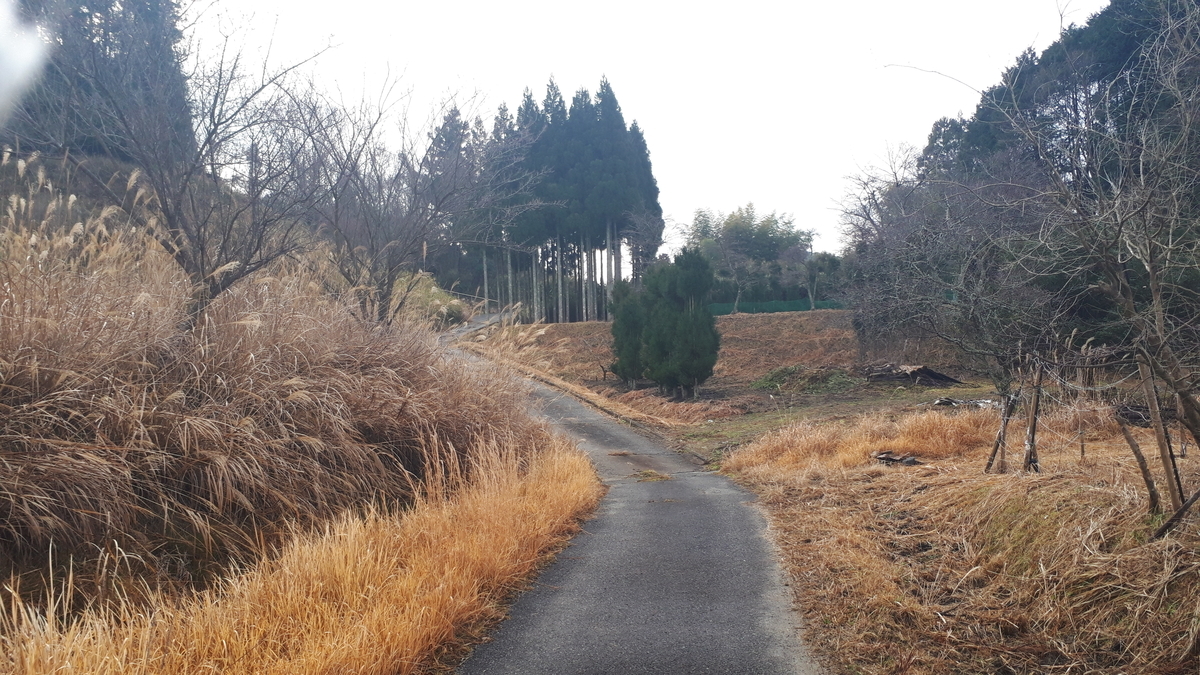 f:id:OSAKA-TOM:20200123104809j:plain f:id:OSAKA-TOM:20200123104809j:plain