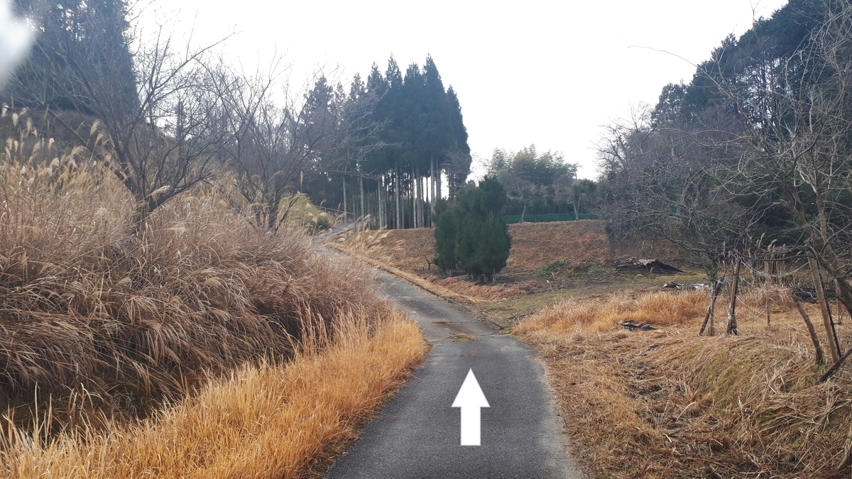 f:id:OSAKA-TOM:20200125090207j:plain f:id:OSAKA-TOM:20200125090207j:plain