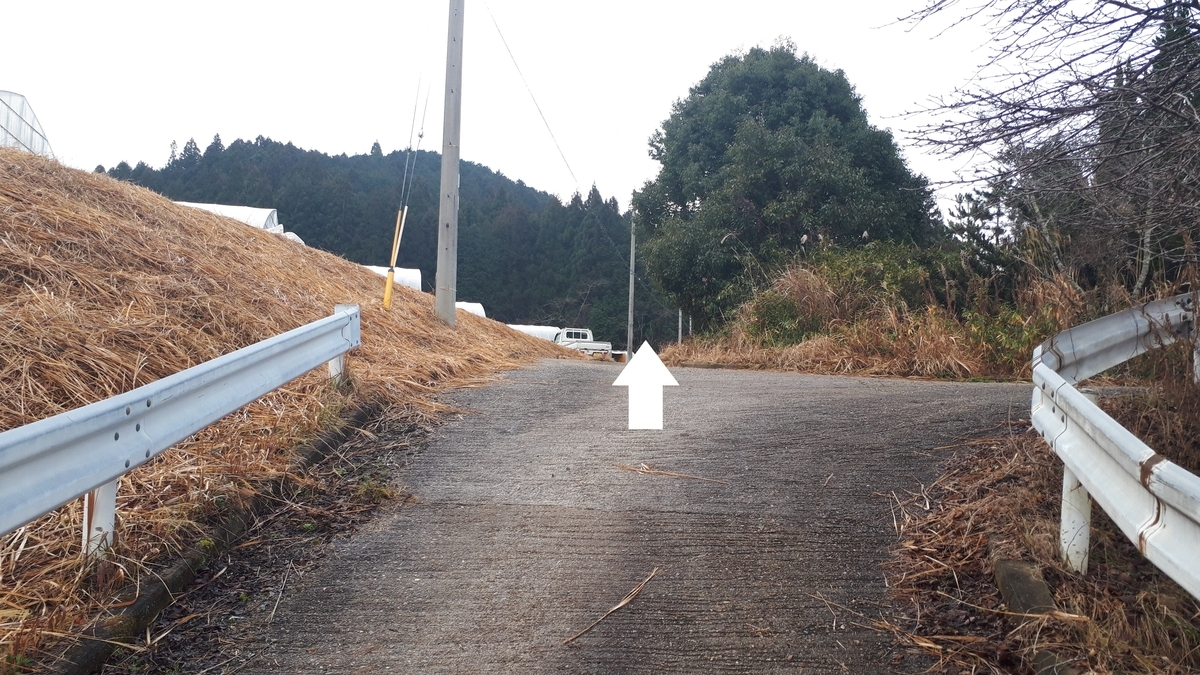 f:id:OSAKA-TOM:20200125090331j:plain f:id:OSAKA-TOM:20200125090331j:plain