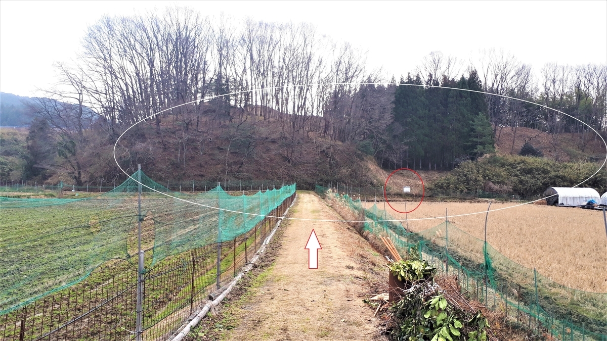 f:id:OSAKA-TOM:20200126082314j:plain f:id:OSAKA-TOM:20200126082314j:plain