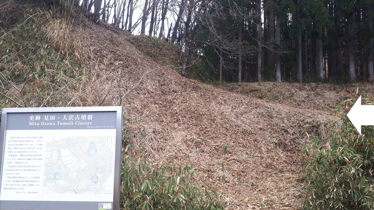 f:id:OSAKA-TOM:20200126082423j:plain f:id:OSAKA-TOM:20200126082423j:plain