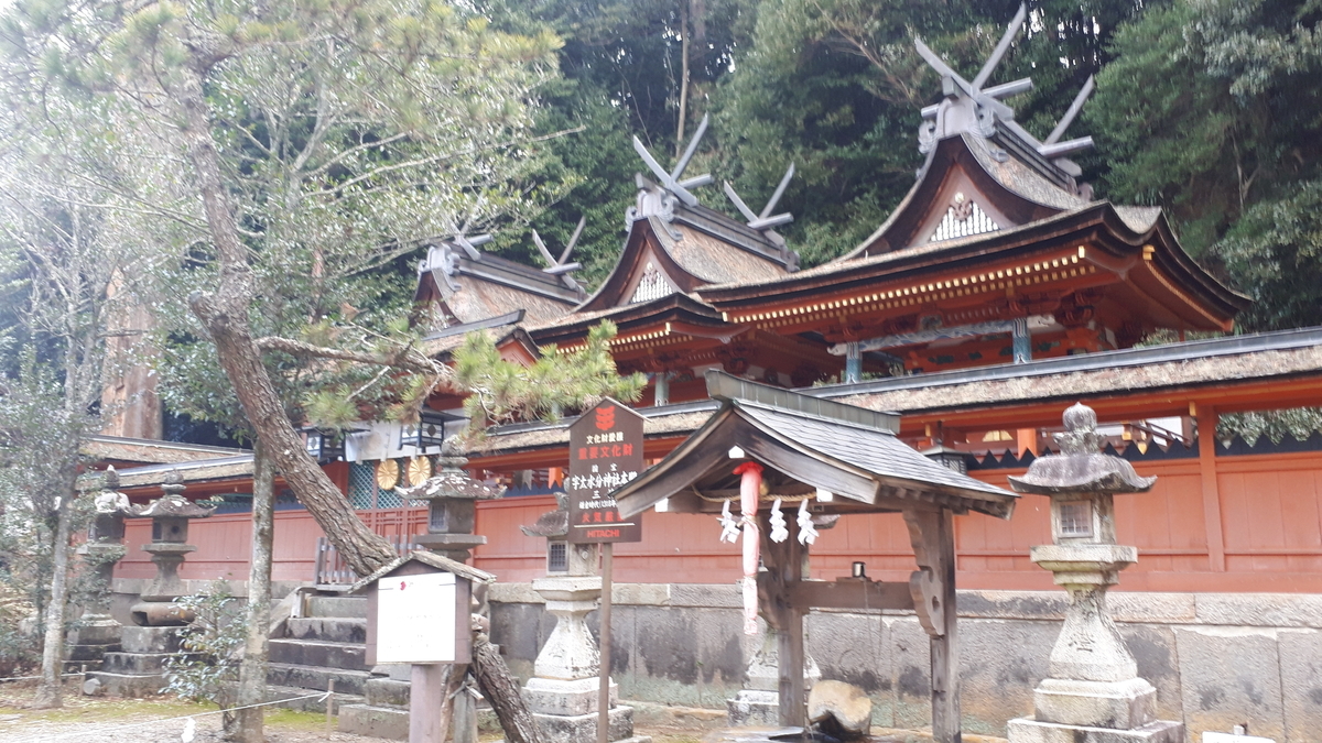 f:id:OSAKA-TOM:20200126084619j:plain f:id:OSAKA-TOM:20200126084619j:plain