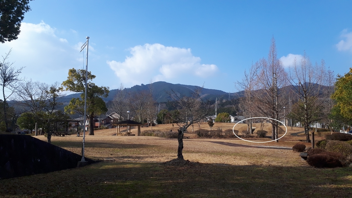 f:id:OSAKA-TOM:20200127102712j:plain f:id:OSAKA-TOM:20200127102712j:plain