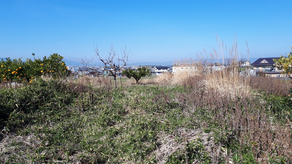 f:id:OSAKA-TOM:20200309094811j:plain f:id:OSAKA-TOM:20200309094811j:plain