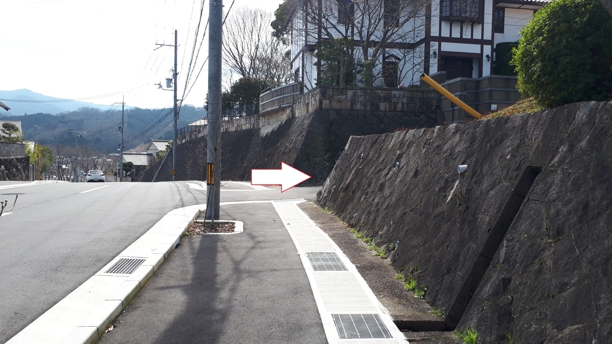 f:id:OSAKA-TOM:20200309132457j:plain f:id:OSAKA-TOM:20200309132457j:plain