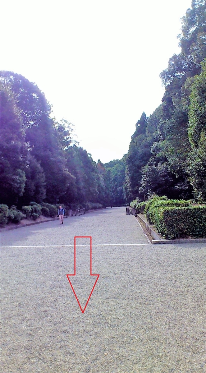 f:id:OSAKA-TOM:20200413114837j:plain f:id:OSAKA-TOM:20200413114837j:plain