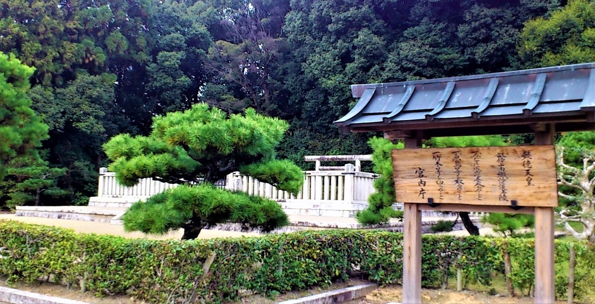 f:id:OSAKA-TOM:20200413132403j:plain f:id:OSAKA-TOM:20200413132403j:plain
