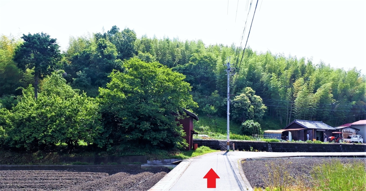 f:id:OSAKA-TOM:20200516094710j:plain f:id:OSAKA-TOM:20200516094710j:plain