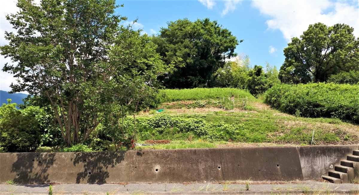 f:id:OSAKA-TOM:20200516105246j:plain