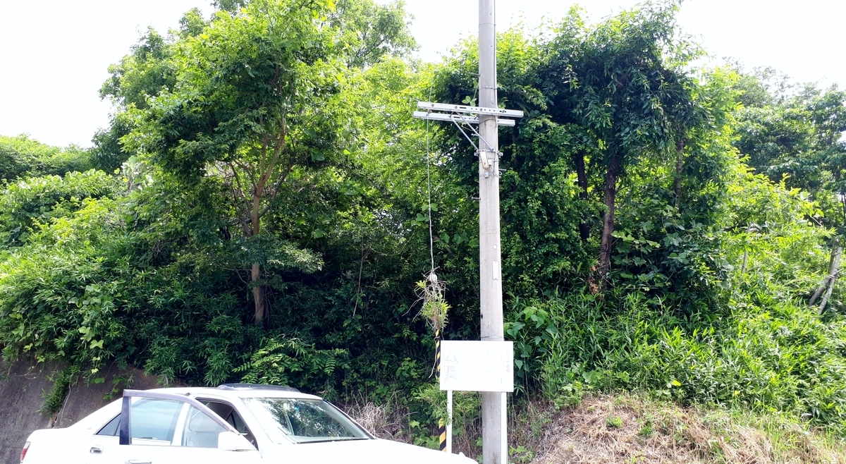 f:id:OSAKA-TOM:20200516113003j:plain f:id:OSAKA-TOM:20200516113003j:plain