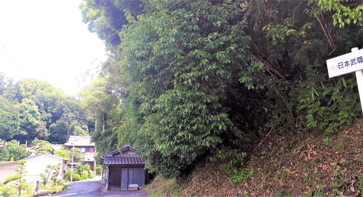 f:id:OSAKA-TOM:20200516115111j:plain f:id:OSAKA-TOM:20200516115111j:plain