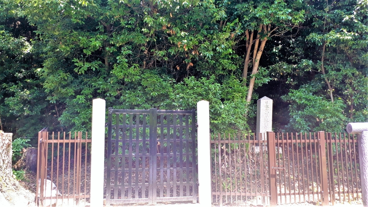 f:id:OSAKA-TOM:20200516115816j:plain f:id:OSAKA-TOM:20200516115816j:plain