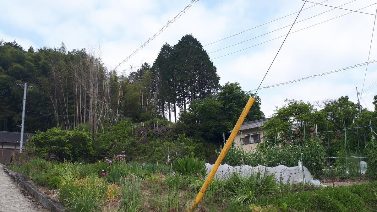 f:id:OSAKA-TOM:20200526171223j:plain f:id:OSAKA-TOM:20200526171223j:plain