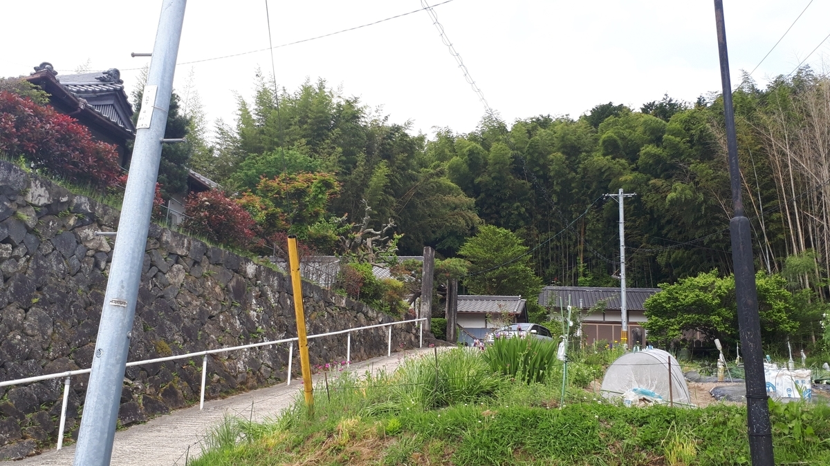 f:id:OSAKA-TOM:20200526171249j:plain f:id:OSAKA-TOM:20200526171249j:plain