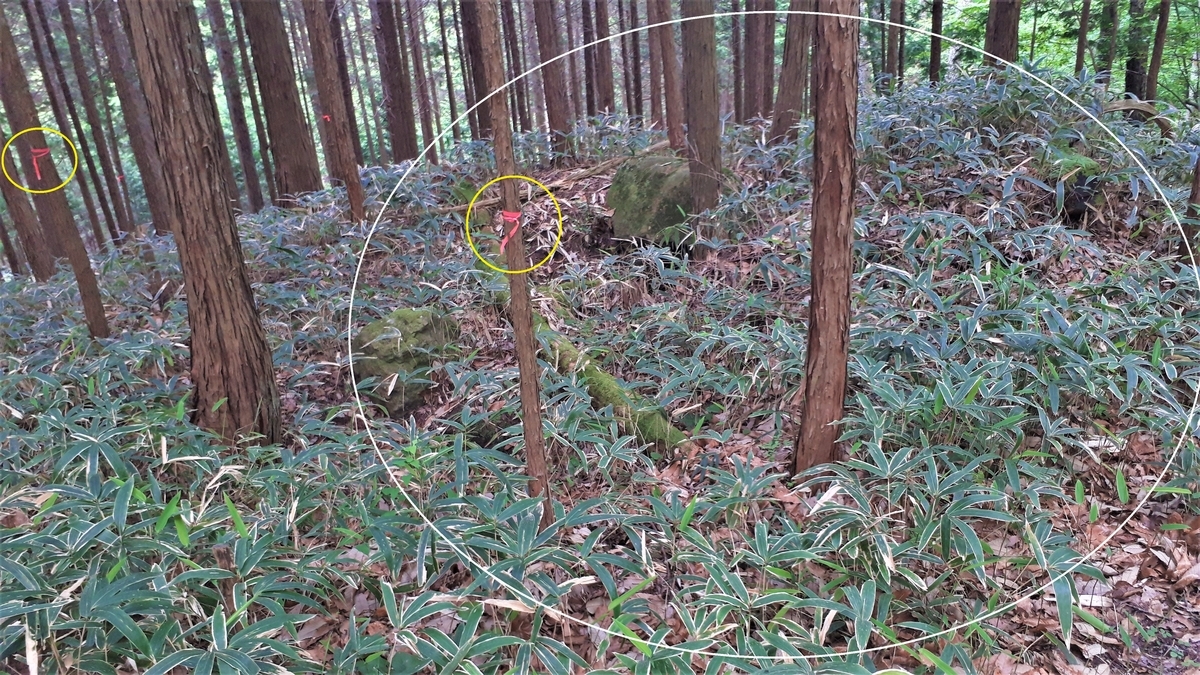f:id:OSAKA-TOM:20200527111013j:plain f:id:OSAKA-TOM:20200527111013j:plain